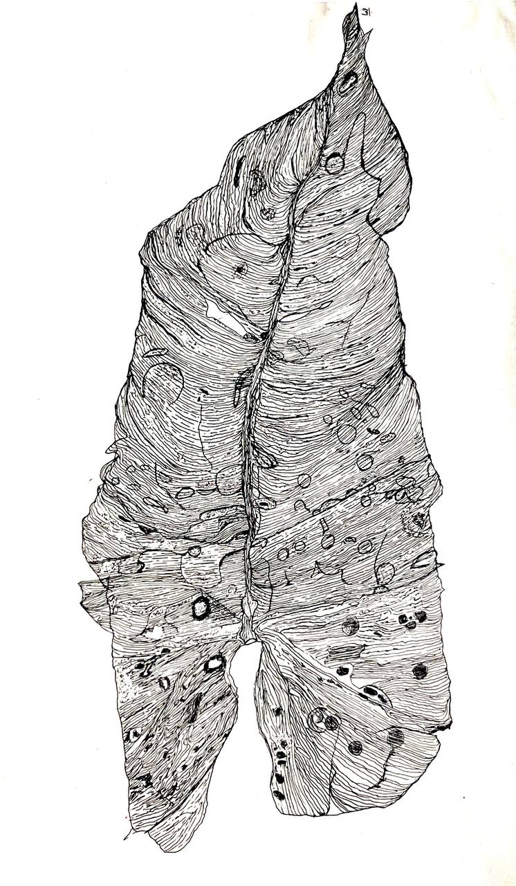 "Memory of a Leaf" Painting