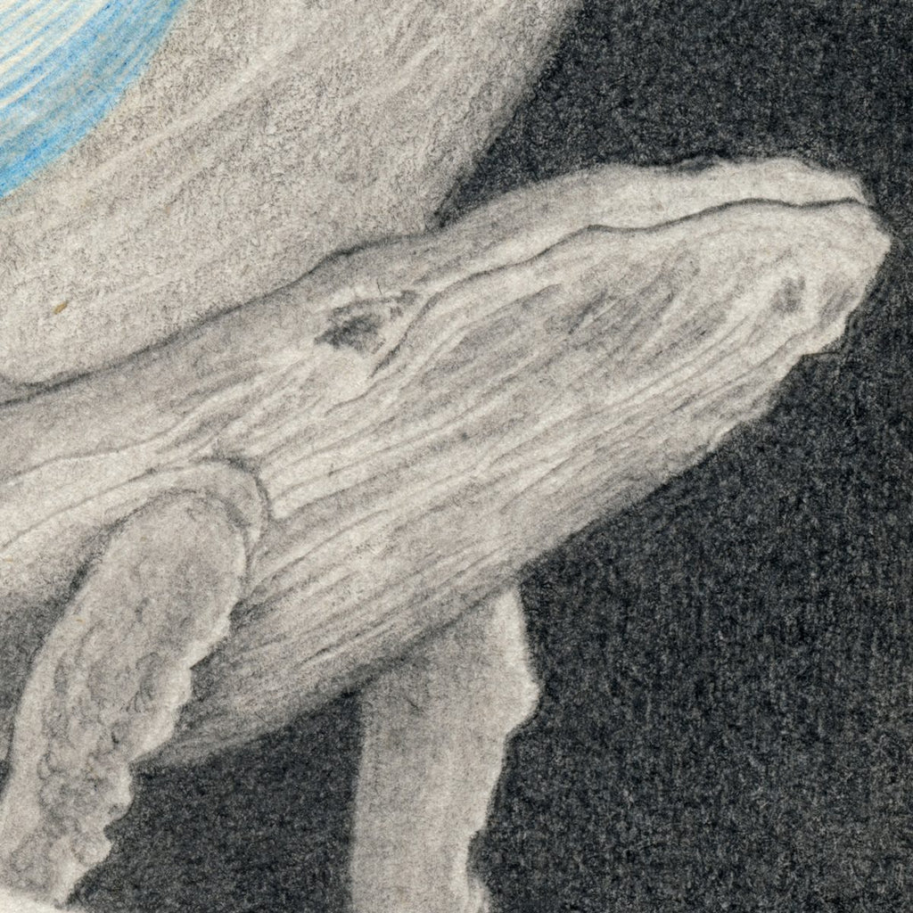 Blue Whale, original painting by Mostafa Akbari, view 2