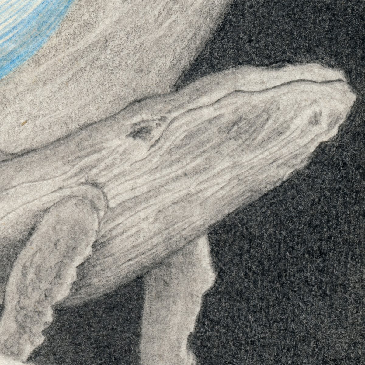 Blue Whale, original painting by Mostafa Akbari, view 2