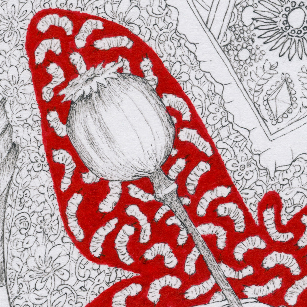 Detail of Butterfly on Poppy by Mostafa Akbari