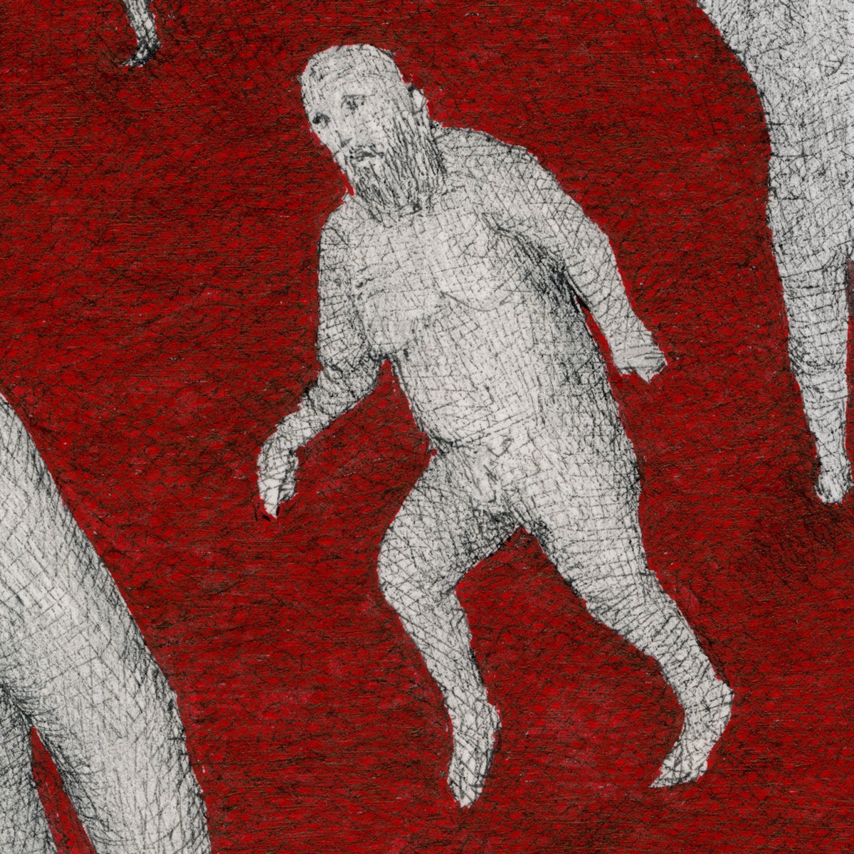 Detail of Red Bunny by Mostafa Akbari
