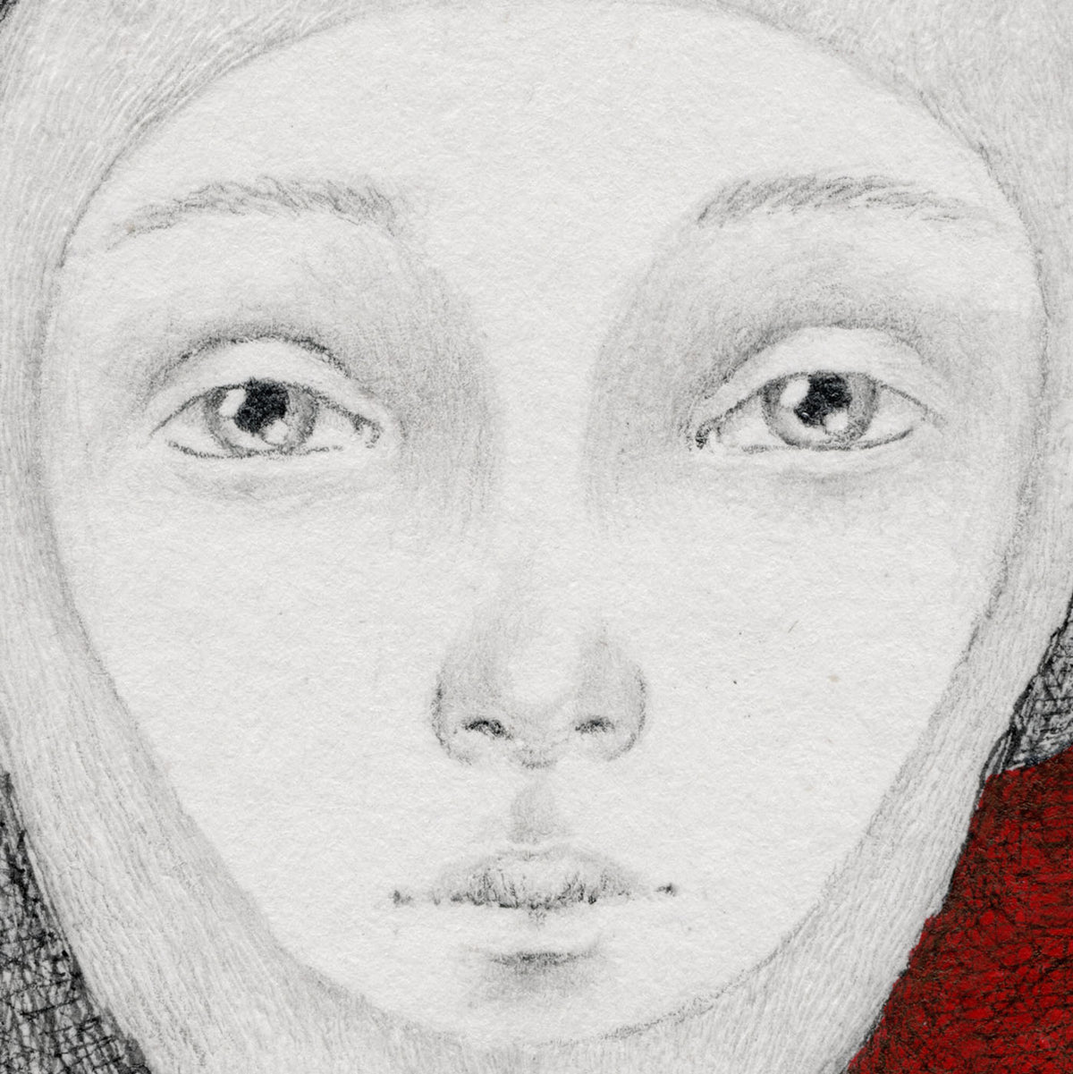 Detail of Red Bunny by Mostafa Akbari